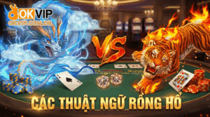 Thuật ngữ trong rồng hổ