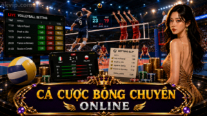 cá cược bóng chuyền