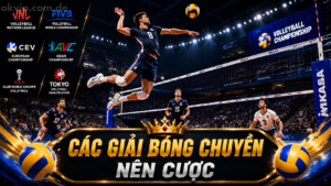tổng hợp các giải bóng chuyền đáng cược