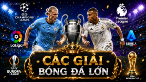 Tổng hợp các giải bóng đá lớn