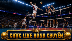 kèo cược live bóng chuyền