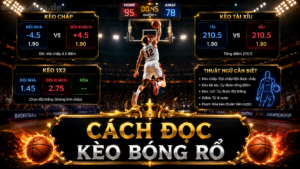 Cách Đọc Kèo Bóng Rổ: Moneyline, Chấp Điểm, Tài Xỉu A-Z