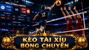 Chi tiết kèo tài xỉu bóng chuyền A-Z